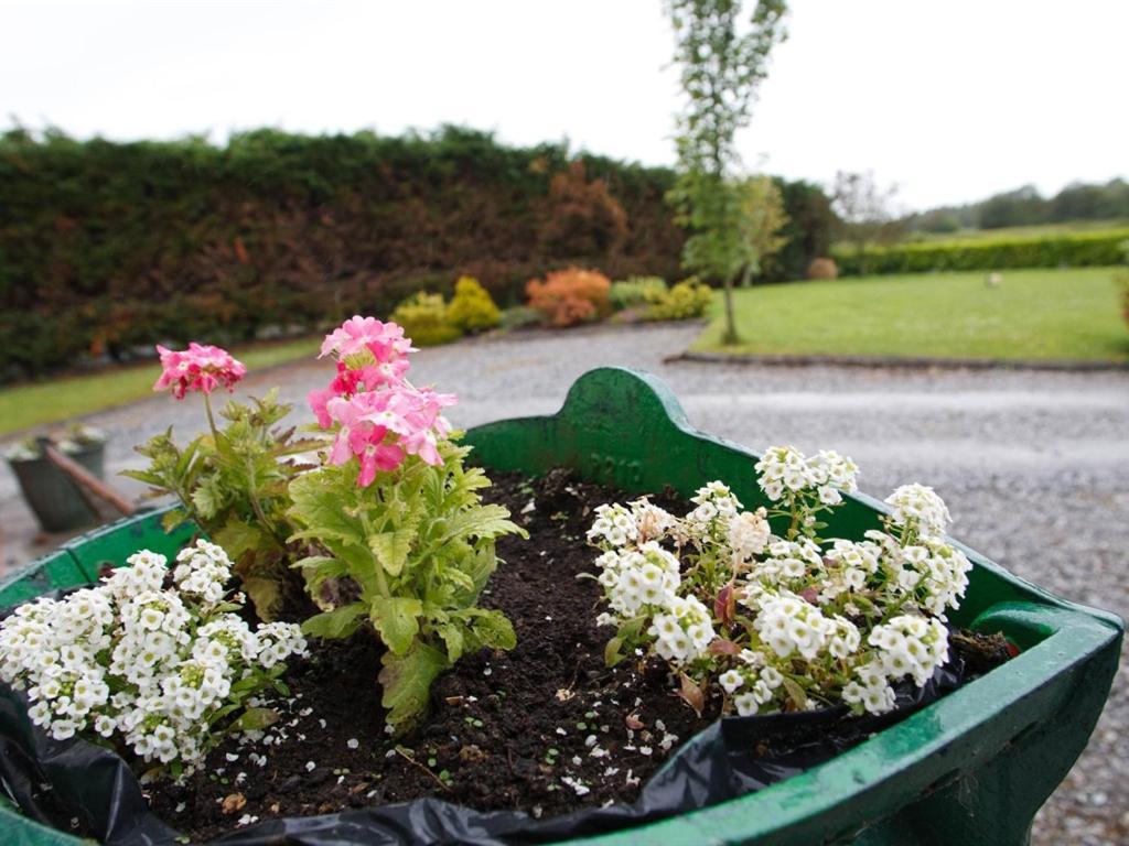 Dun Cromain B&B Banagher Eksteriør bilde